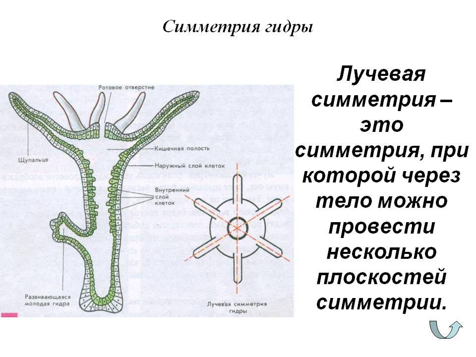 Кракен площадка зеркало