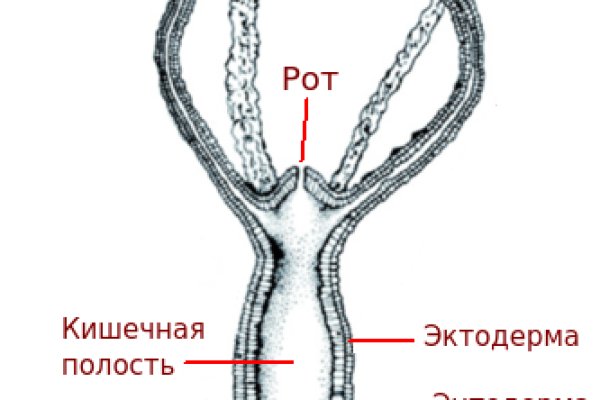 Зеркала тор