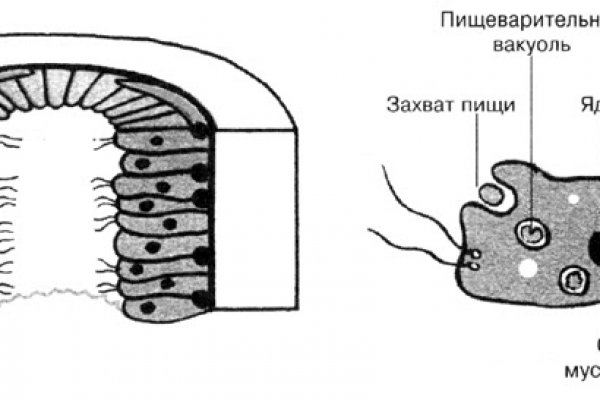 Kraken зеркало стор