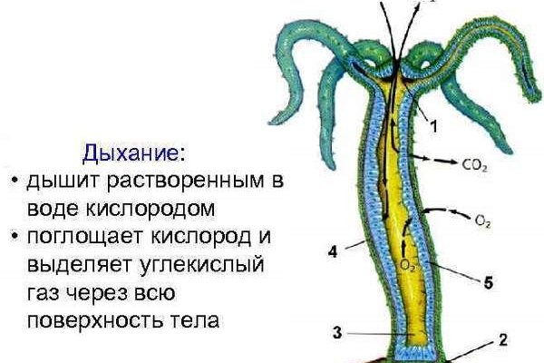 Кракен браузер ссылка